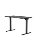FlexiSpot Electric Sit-Stand Desk with Height Memory