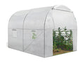 White 6m² tunnel greenhouse for market gardening, suitable for all seasons (2x3m)