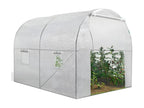 White 6m² tunnel greenhouse for market gardening, suitable for all seasons (2x3m)