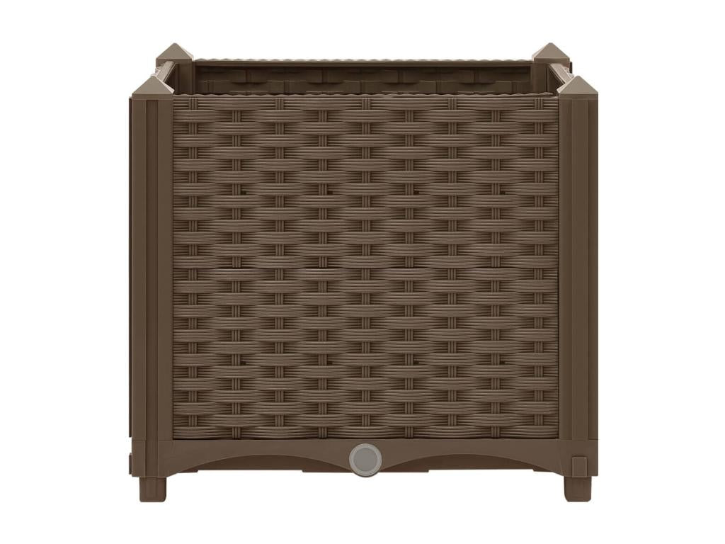 Home Furniture - Brown